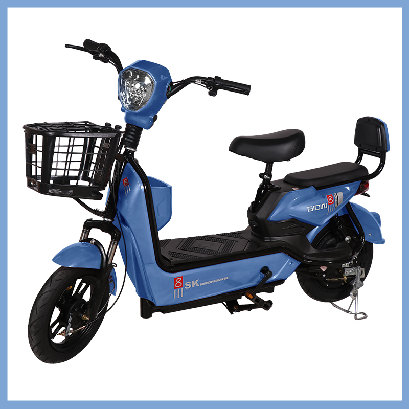 YTYIN 도매 시티 전기 자전거 다채로운 전기 자전거 - Electric Scooter 리뷰 및 가격