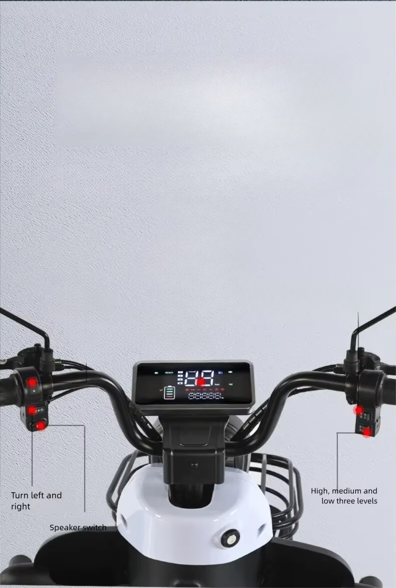 QQW 전기 삼륜차, 삼륜 스쿠터 1000W 모터, 주 - Electric Scooter Adults 리뷰 및 가격